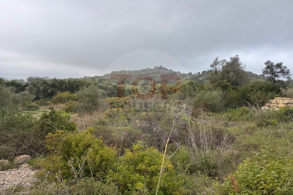Terreno Rústico  Venda em Conceição e Estoi,Faro